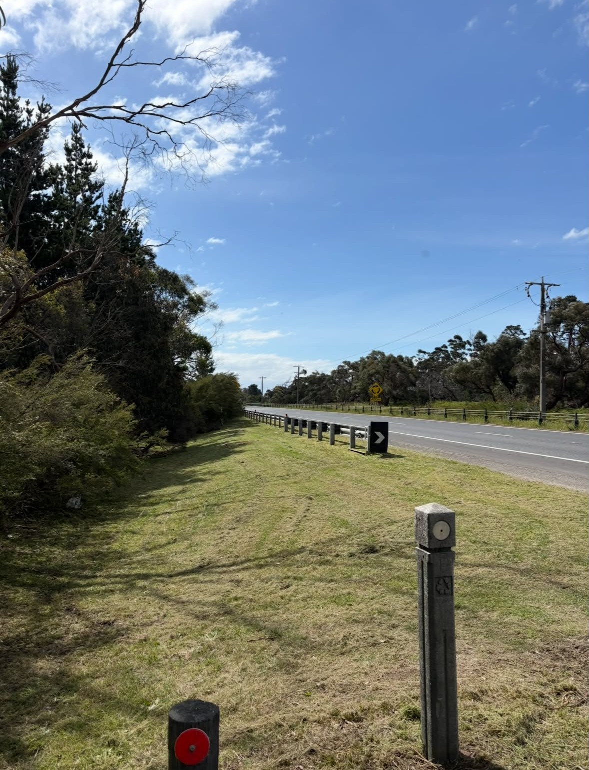 Roadside Verge Clean-Up, after