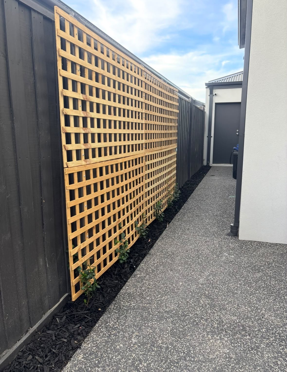 Timber lattice screening with new plantings