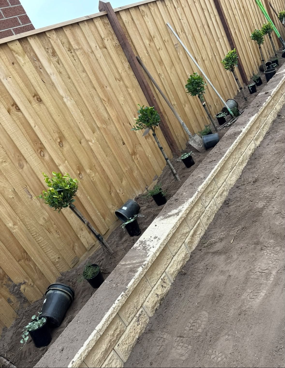 Garden bed planting along new timber fencing