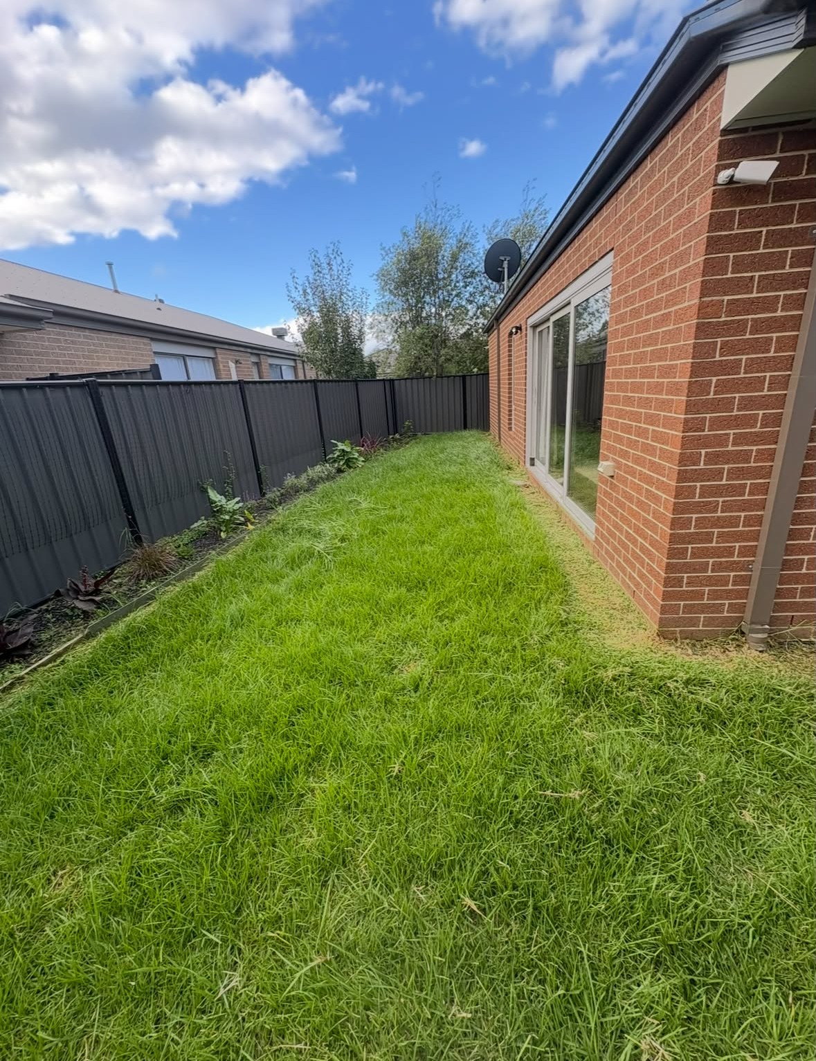 Side Lawn Revival, before